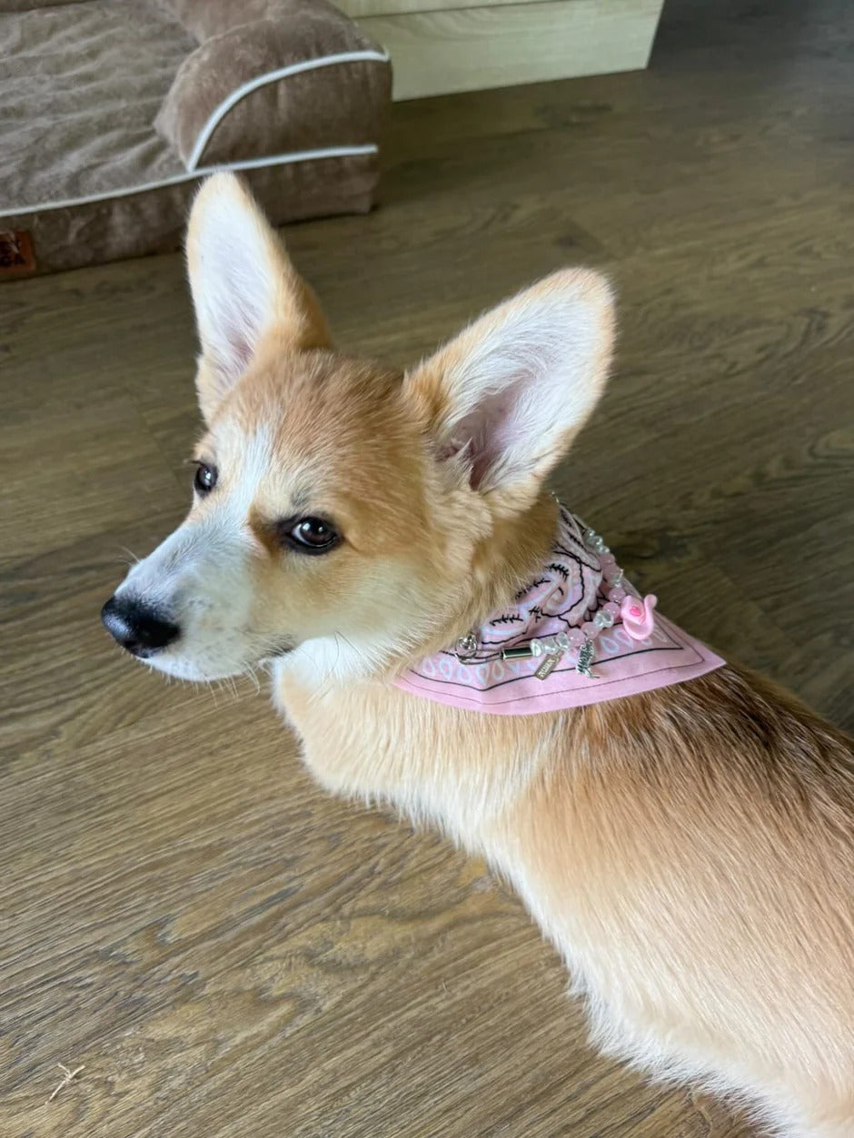 Bandana-Collier