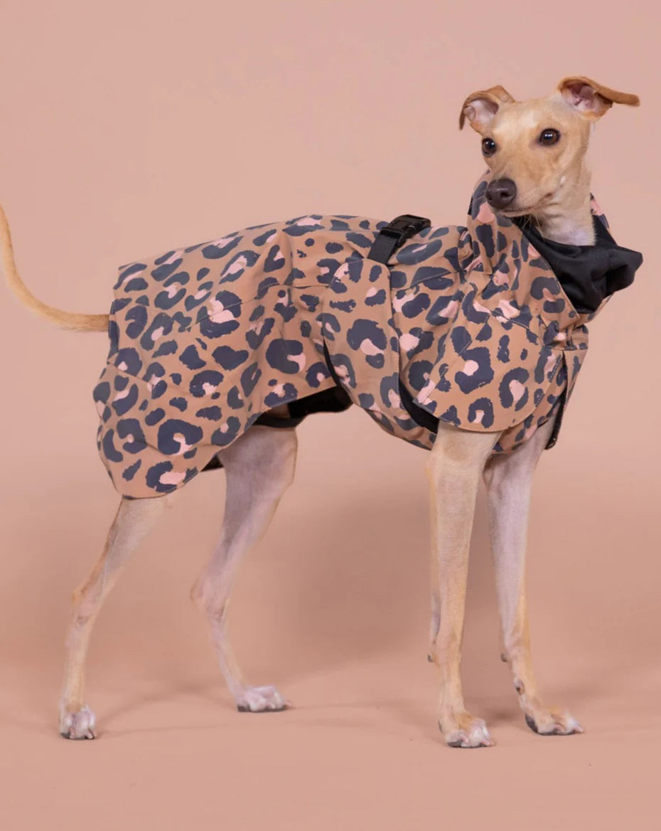 Imperméable réfléchissant léopard