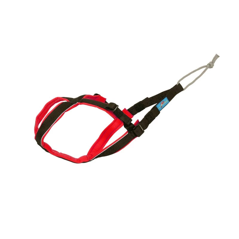 Harnais Canicross Open Back - Spécial Petits Frimeurs