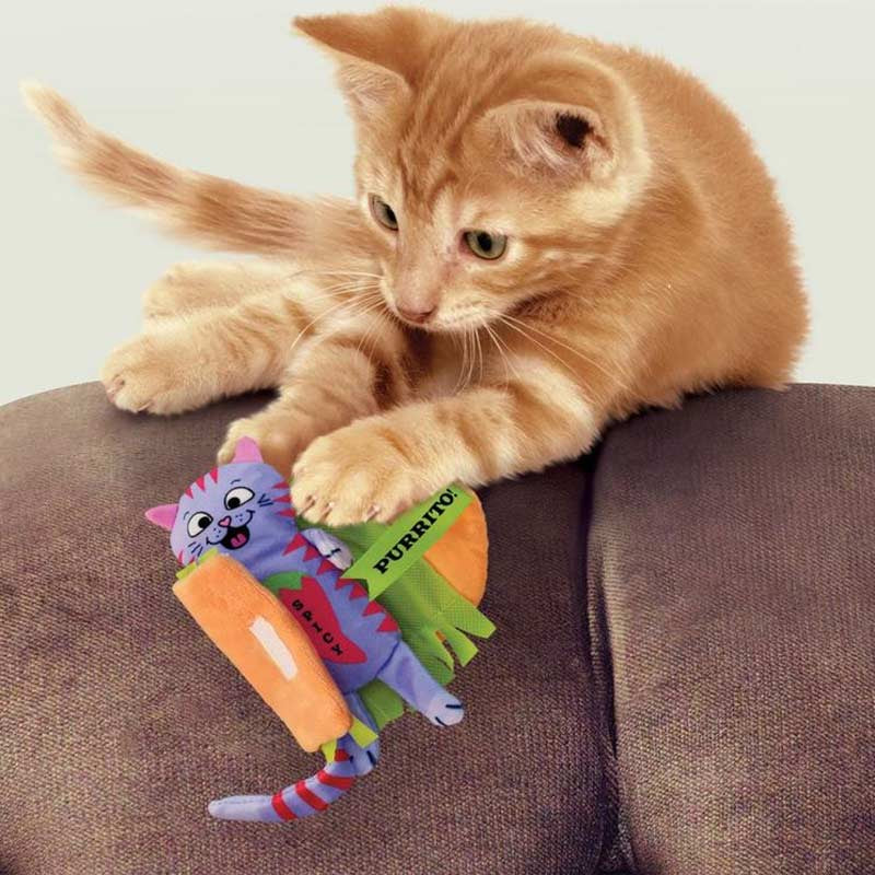 Kong chat burrito pour chat