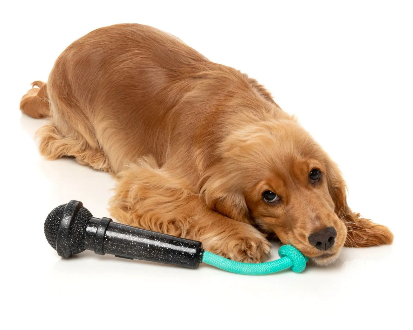 Jouet pour Chien Micro ON/OFF
