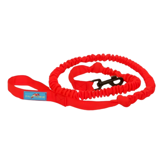 Laisse Flexible CaniVTT / Canicross