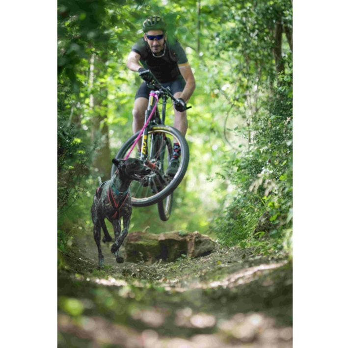 Laisse Flexible CaniVTT / Canicross