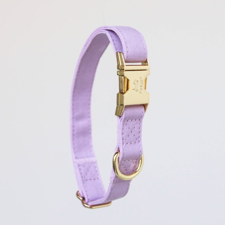 Collier pour Chien FURLOU