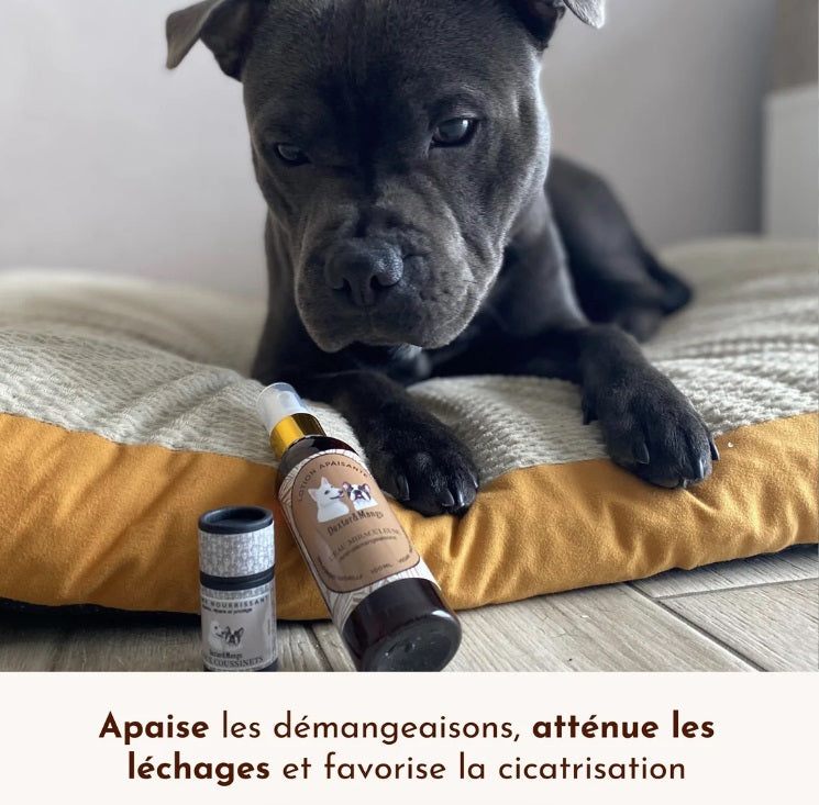 Lotion Apaisante pour Chien Eau Miraculeuse 100 mL
