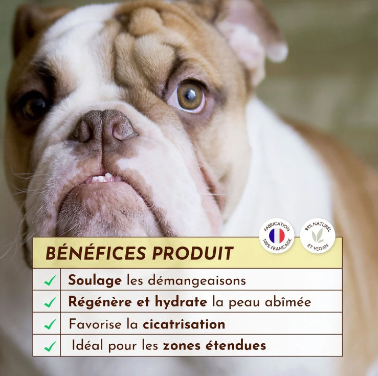 Lotion Apaisante pour Chien Eau Miraculeuse 100 mL