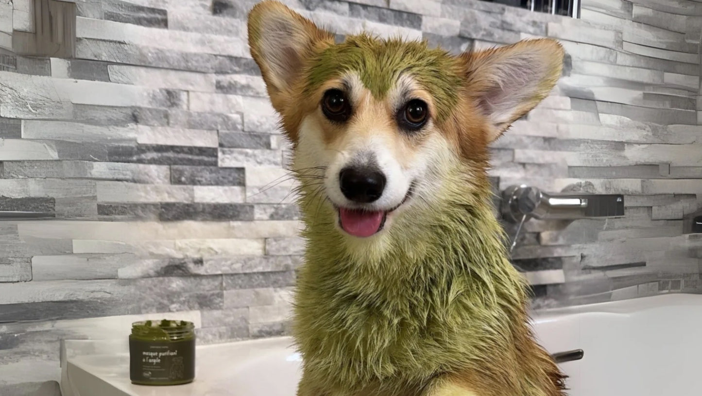 Masque Purifiant à l'Argile