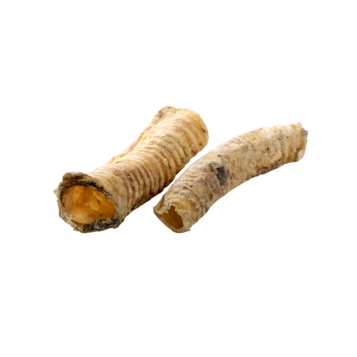 Trachées de chameau