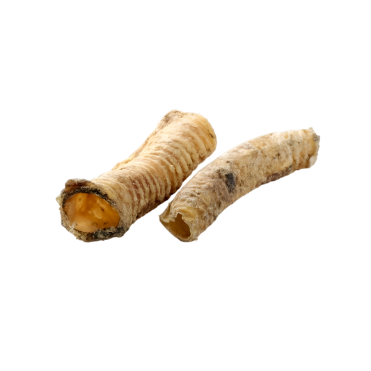 Trachées de chameau