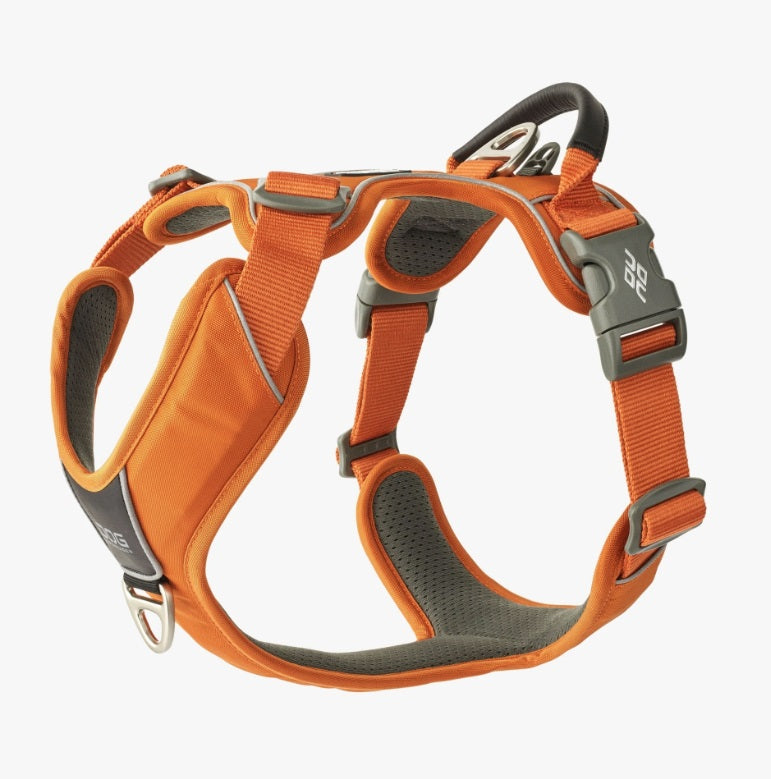 Harnais Comfort Walk Pro