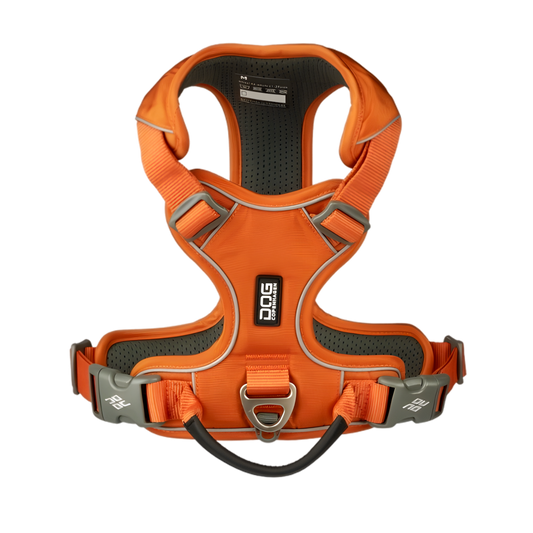 Harnais Comfort Walk Pro