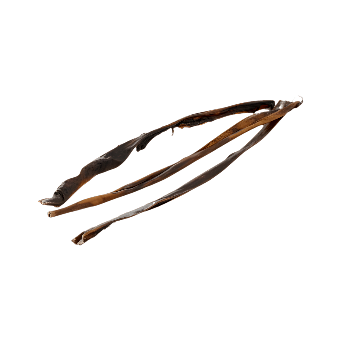 Peau de Chevreuil 50-70 cm