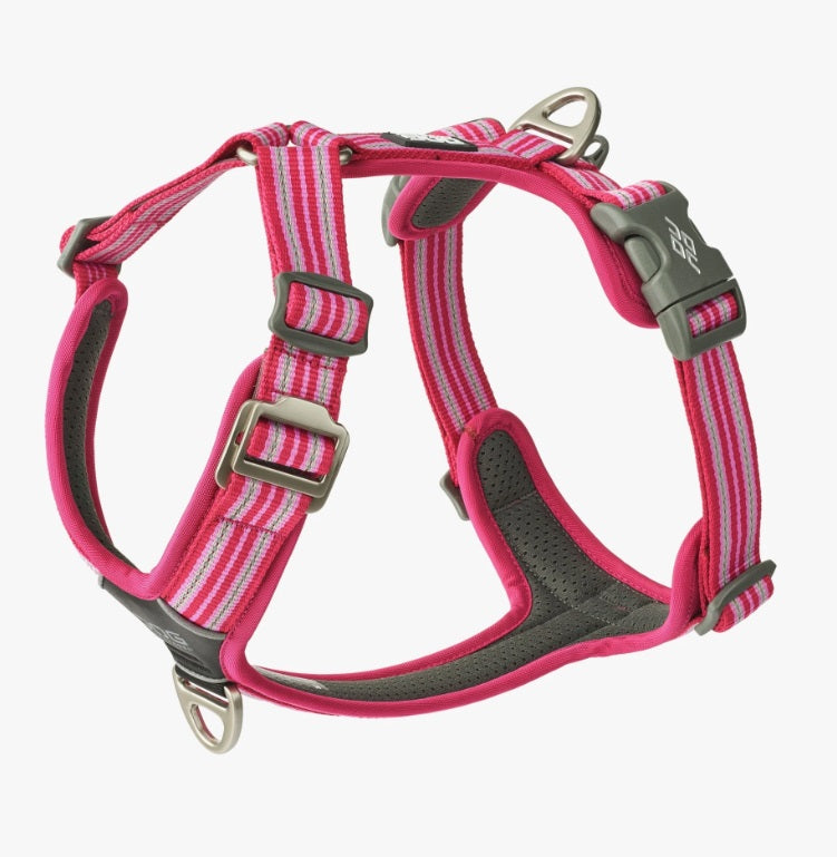 Harnais Comfort Walk Air