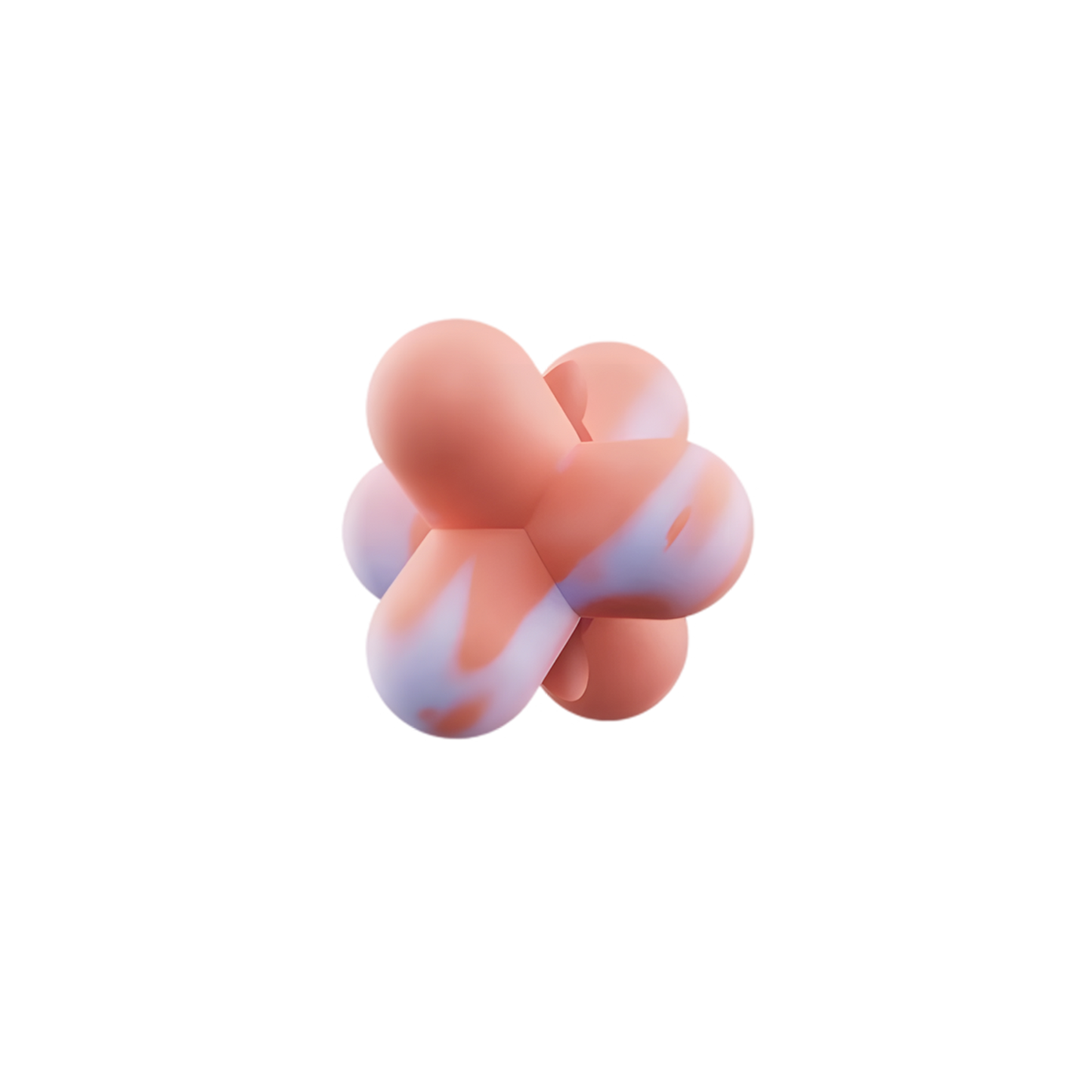 Zee Pinz ZEE.DOG Personnalisation de Laisse