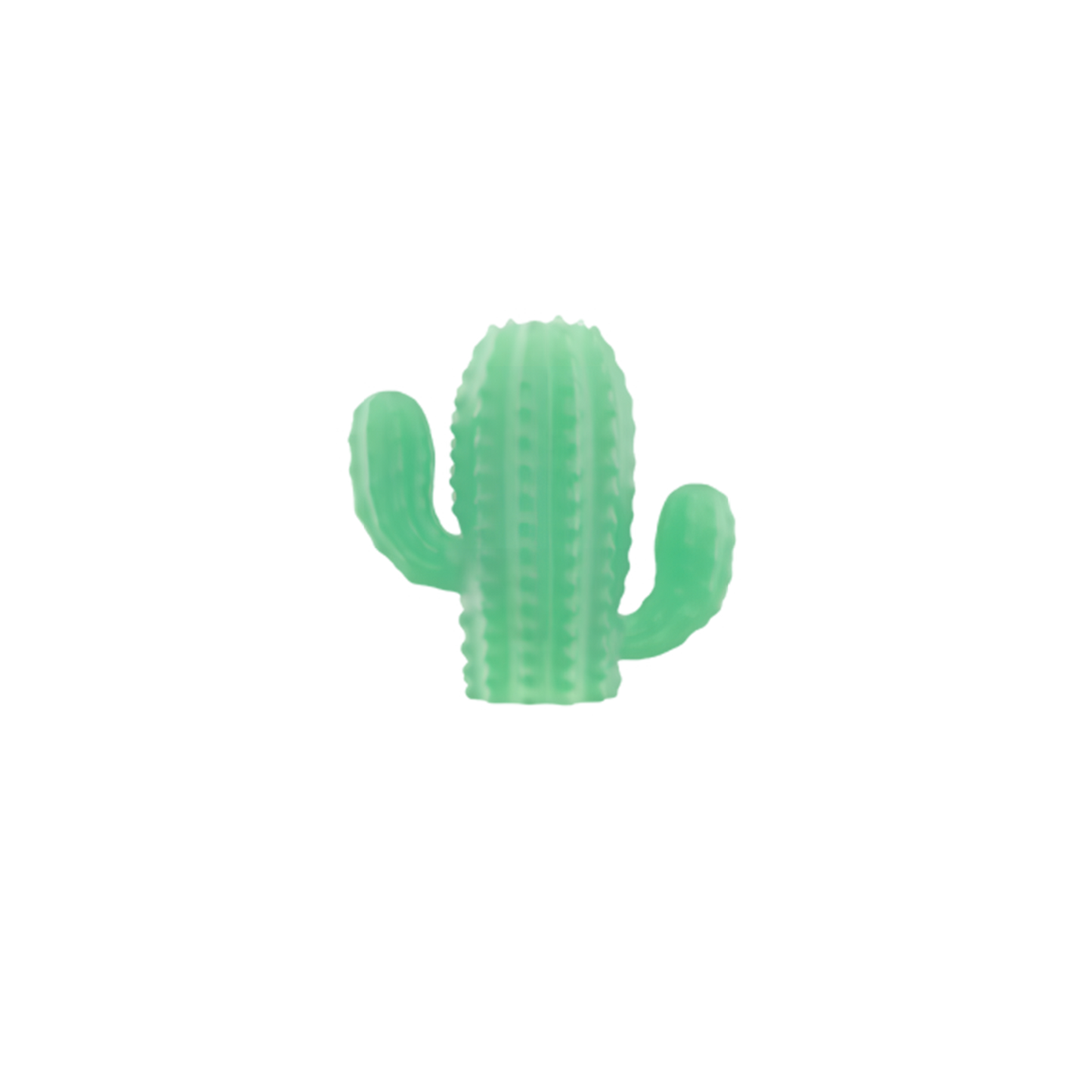 Zee Pinz ZEE.DOG Personnalisation de Laisse