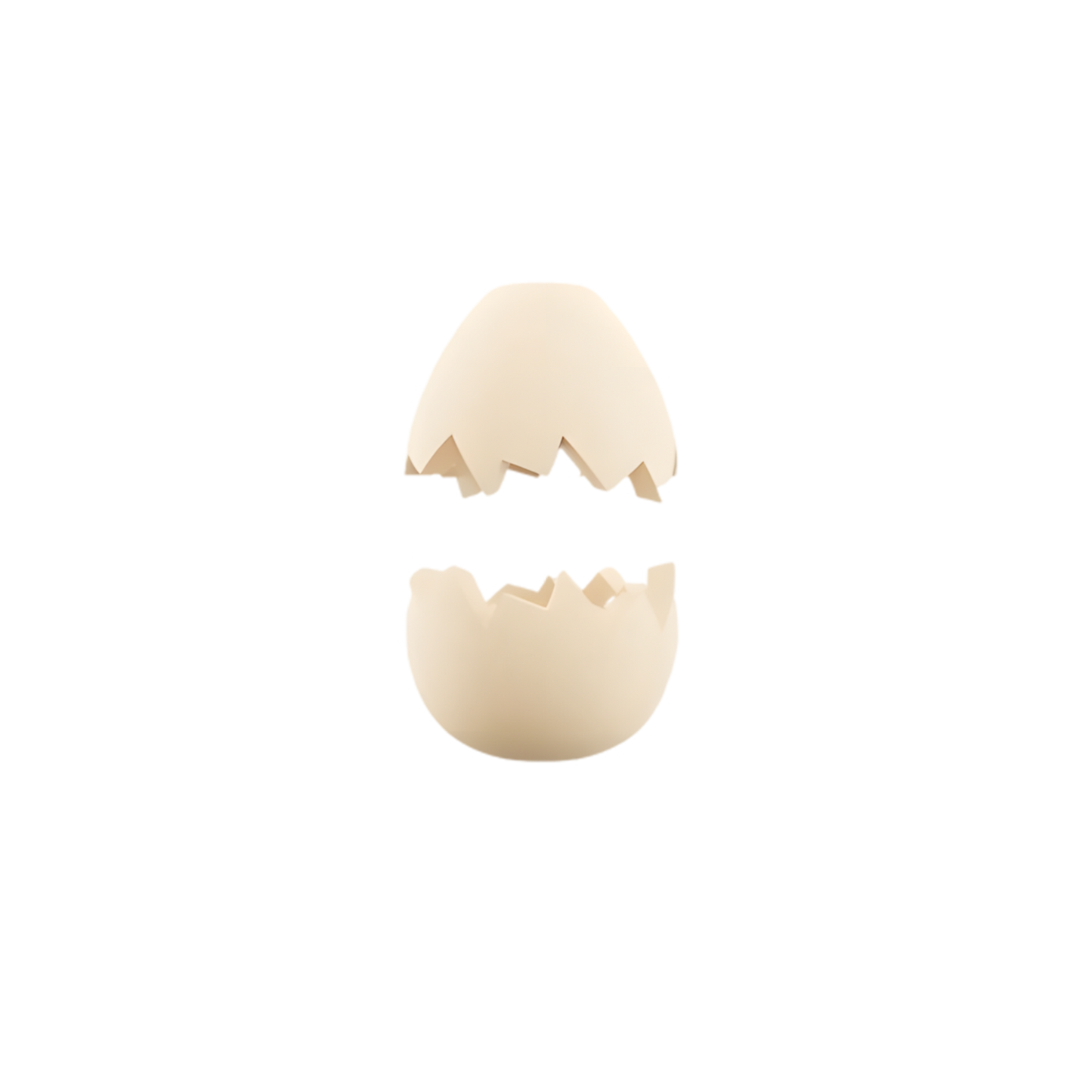 Zee Pinz ZEE.DOG Personnalisation de Laisse