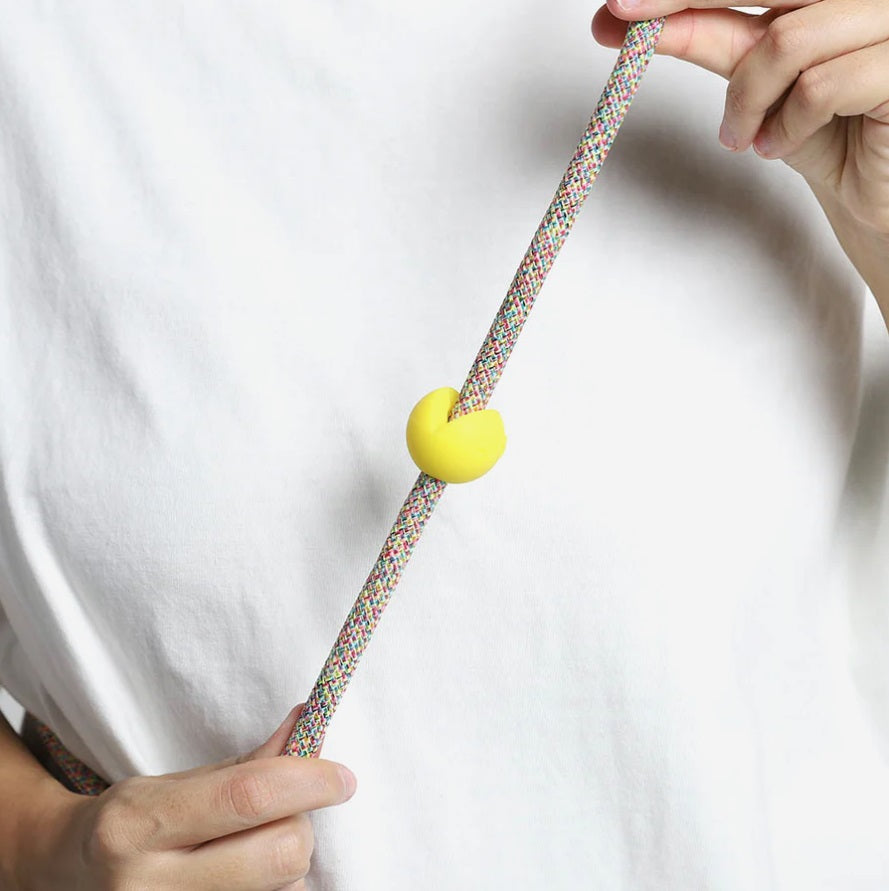 Zee Pinz ZEE.DOG Personnalisation de Laisse