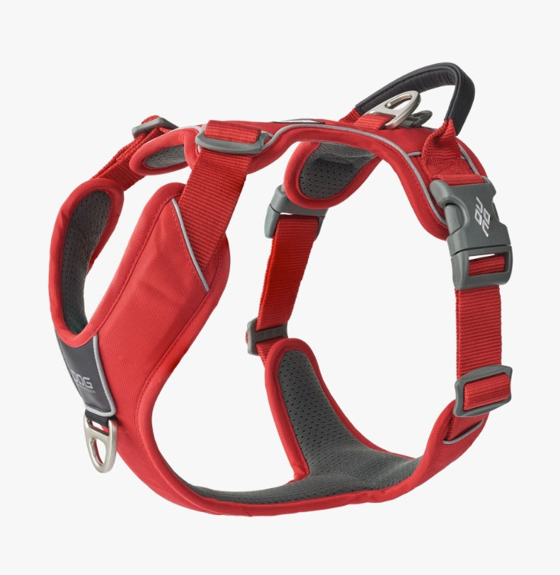 Harnais Comfort Walk Pro