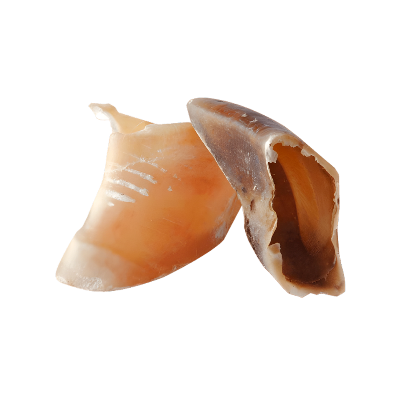 Sabots de Veau