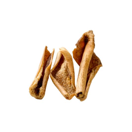 Peau de Sanglier Séchée