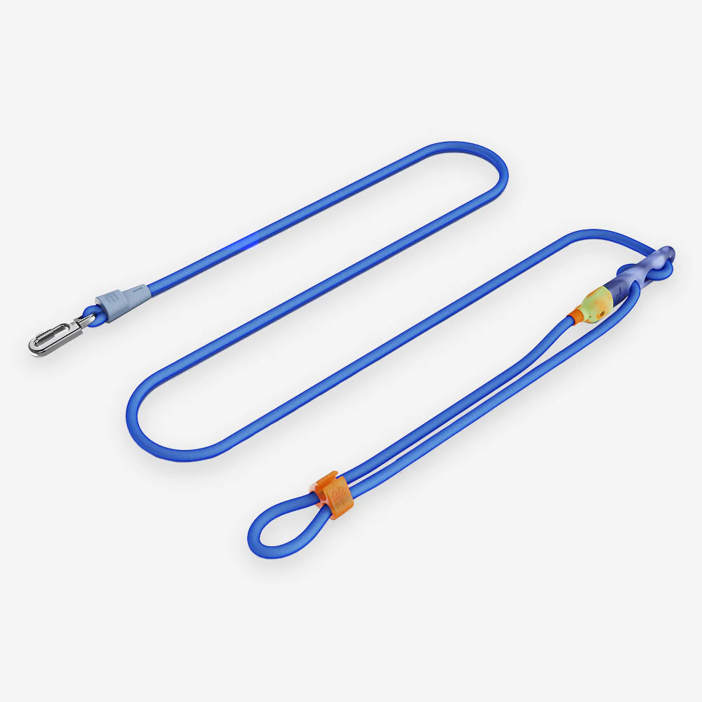Laisse pour chien multipositions NEOPRO ZEE.DOG