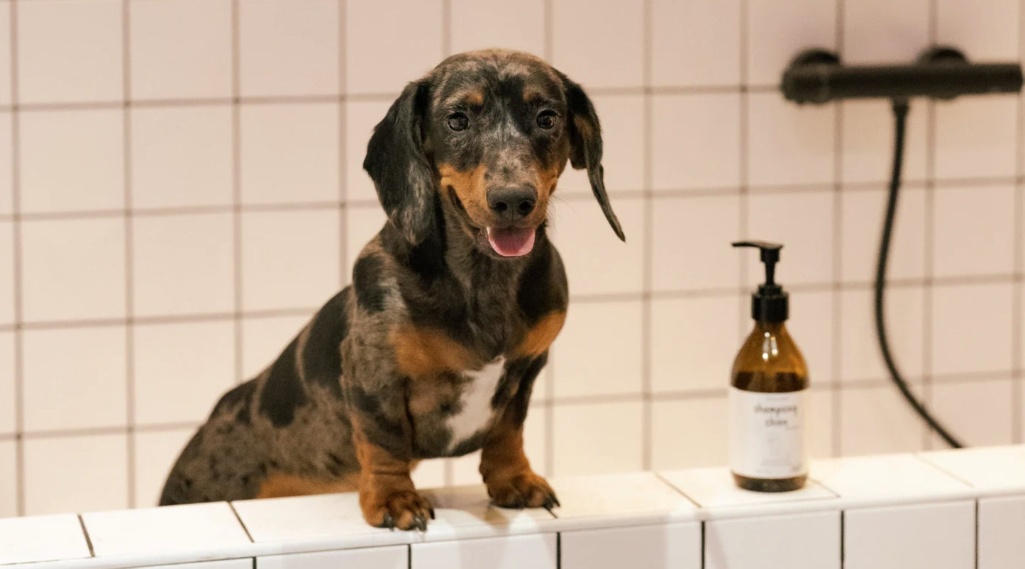 Shampoing pour Chiot - 250ml