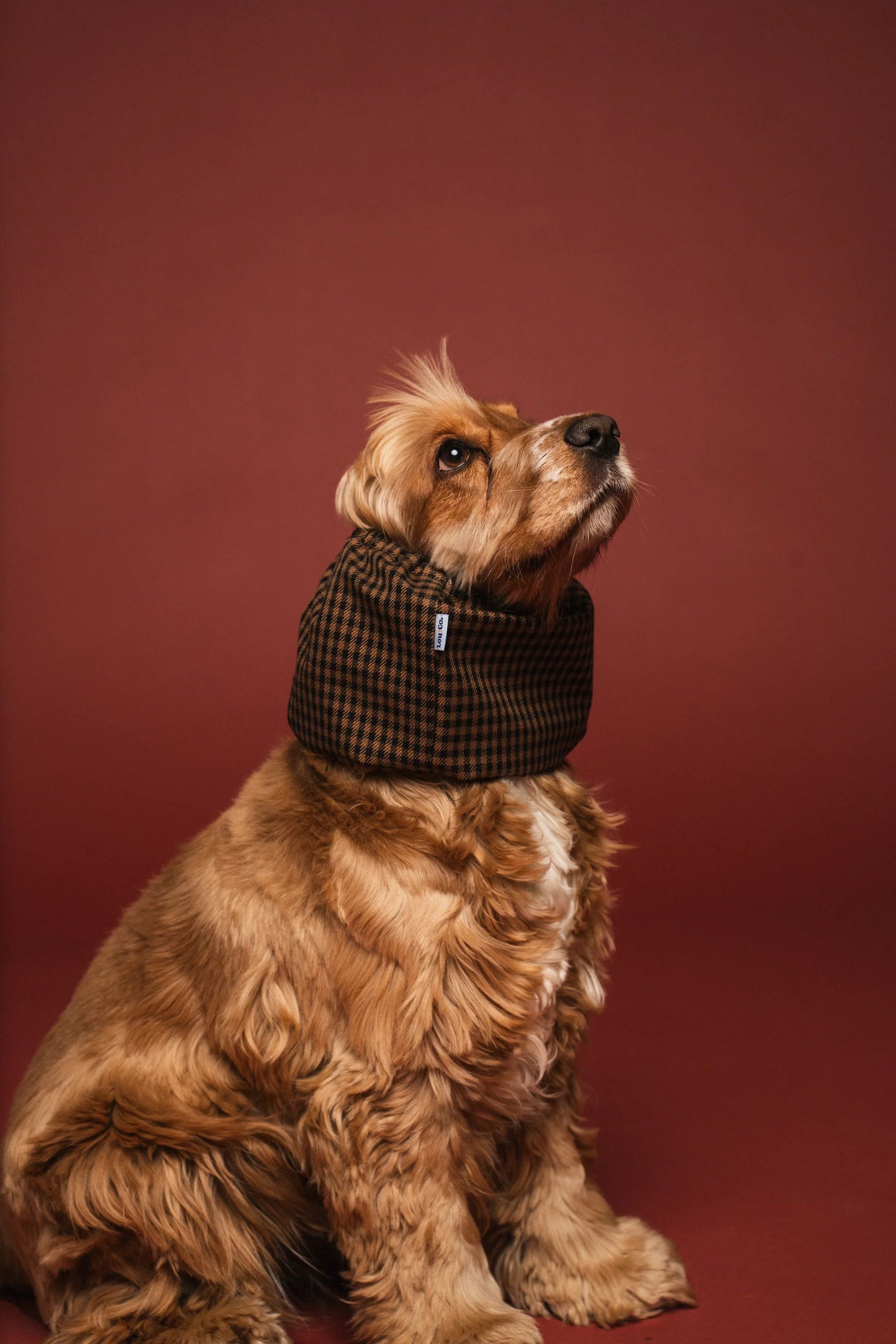 Snood waterproof motifs