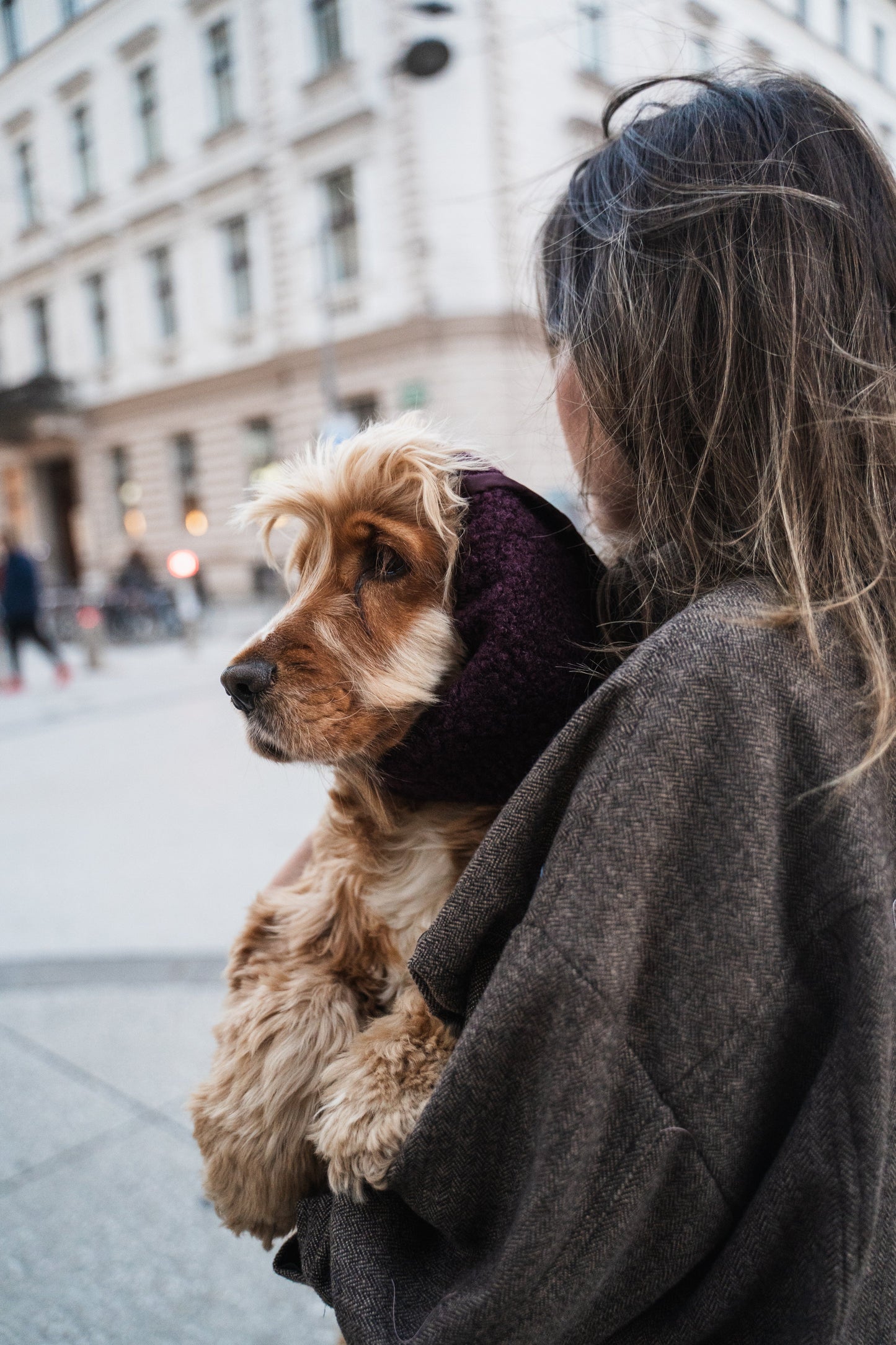 Snood hiver waterproof et fourré