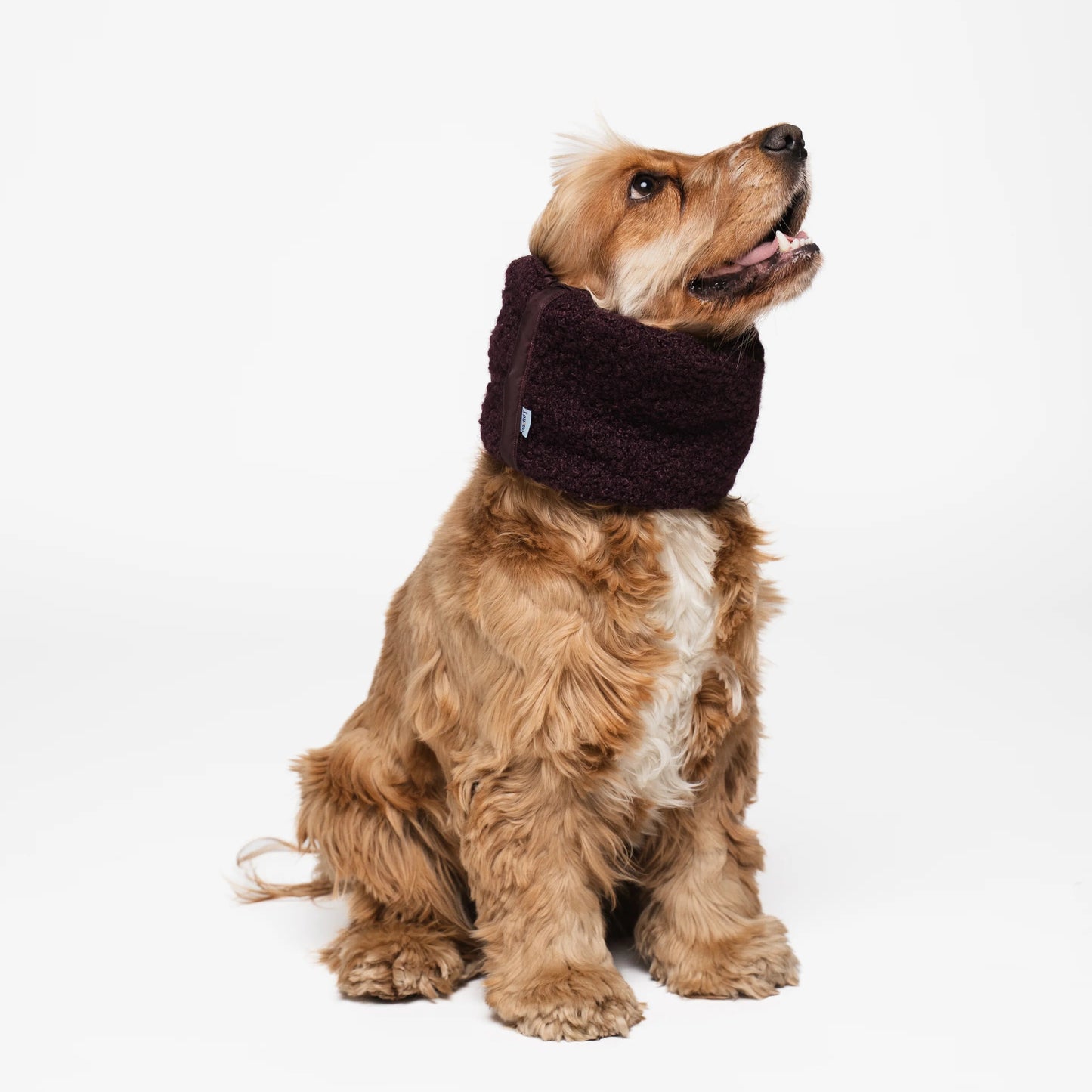 Snood hiver waterproof et fourré