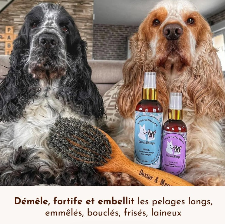 Lotion Démêlante pour Chien et Chat Rebel 200 mL