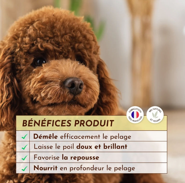 Lotion Démêlante pour Chien et Chat Rebel 200 mL
