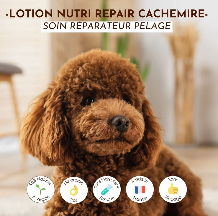 Lotion Nutri Repair pour Chien et Chat 100mL