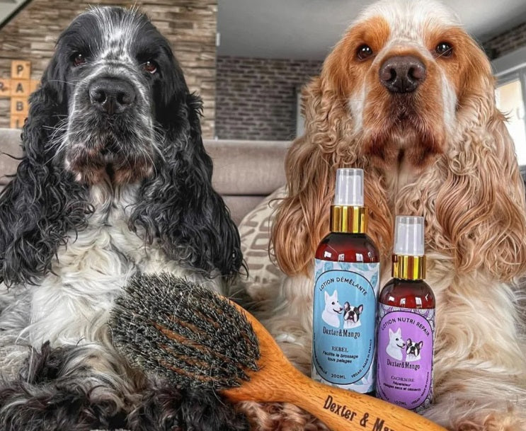 Lotion Nutri Repair pour Chien et Chat 100mL