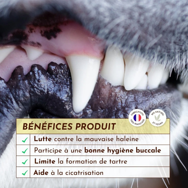 Spray Haleine Souffle Polaire 50 mL