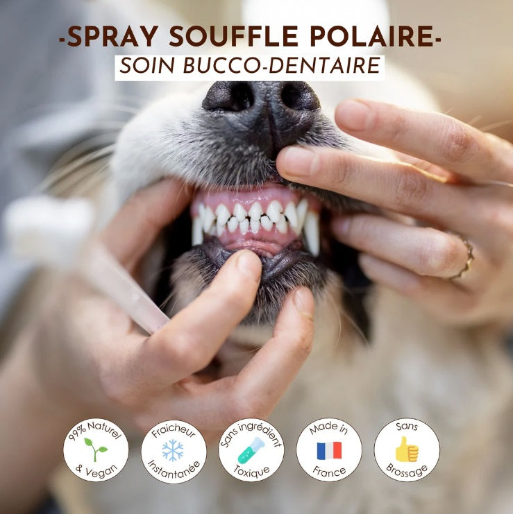 Spray Haleine Souffle Polaire 50 mL