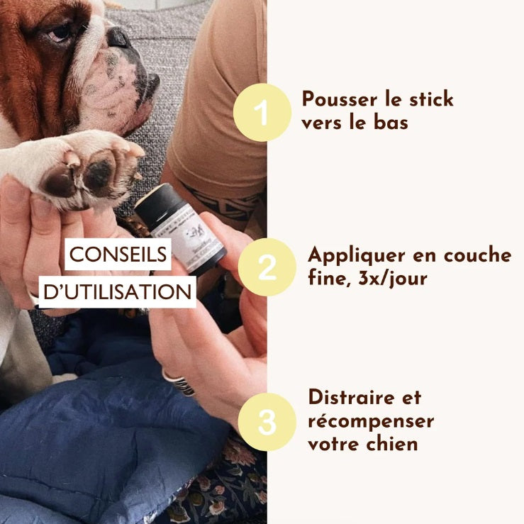 Coussinet de chien abimé : Stick Doux coussinets