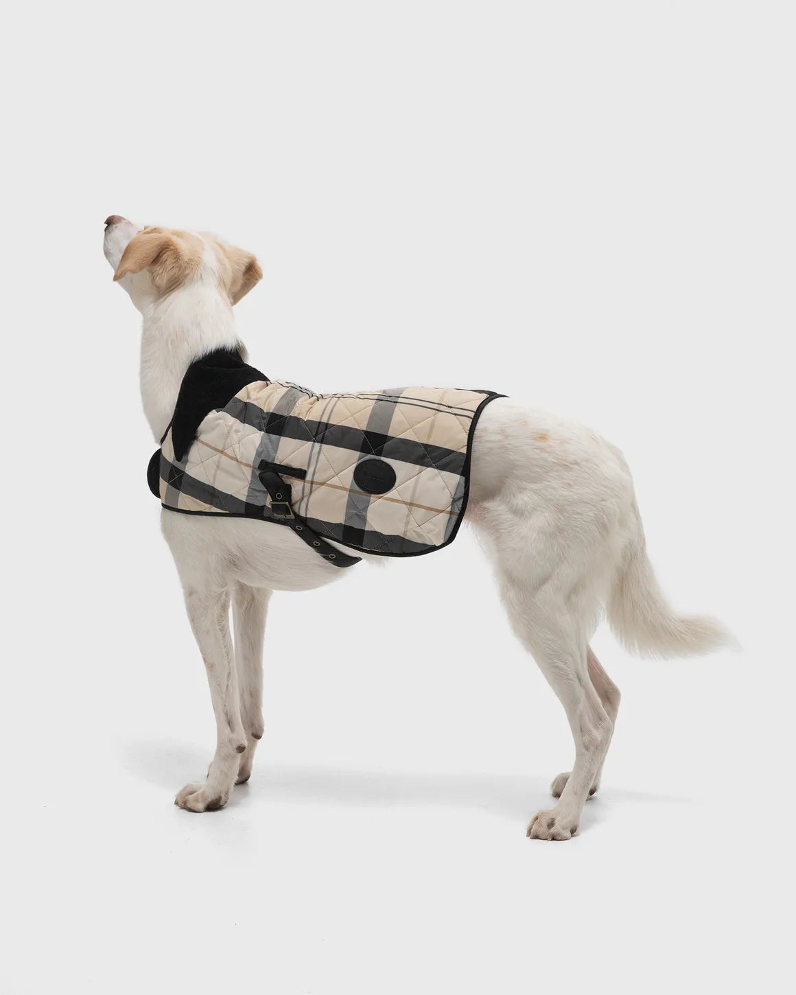 Manteau Matelassé Tartan - BARBOUR