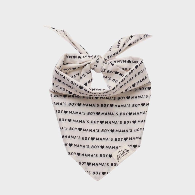 Bandana Fantaisie
