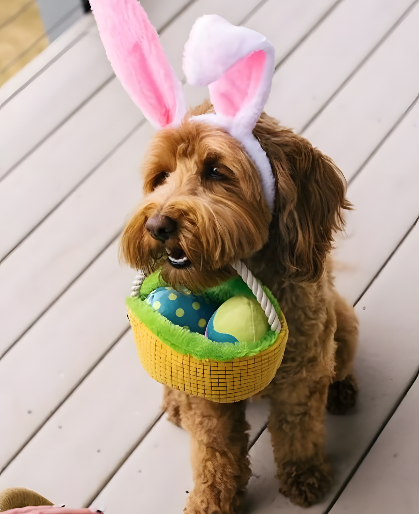Jouet de Fouille pour Chien - Panier Œufs de Pâques
