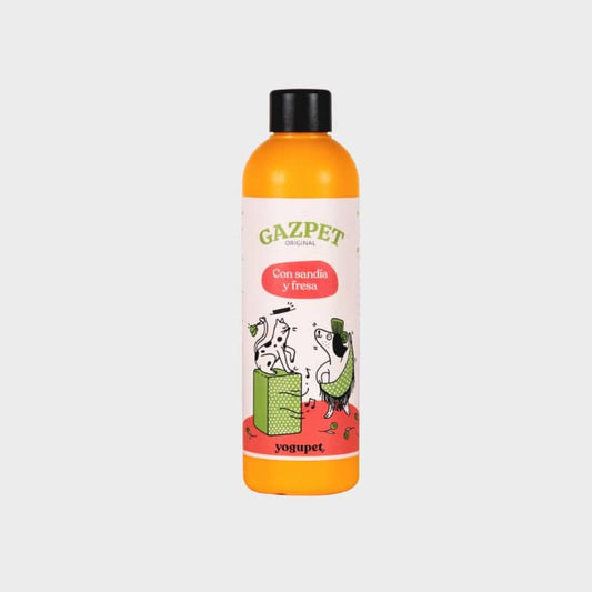 Gaspacho pour chien et chat