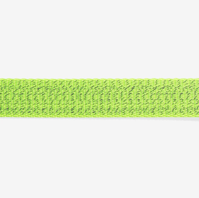 Collier pour Chien - Lumen