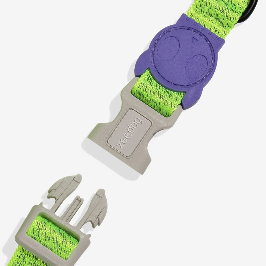Collier pour Chien - Lumen