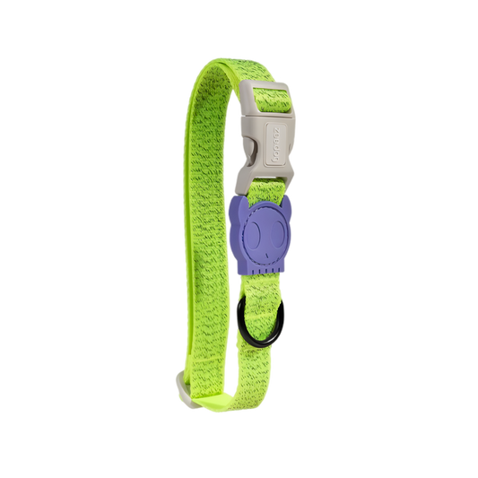 Collier pour Chien - Lumen