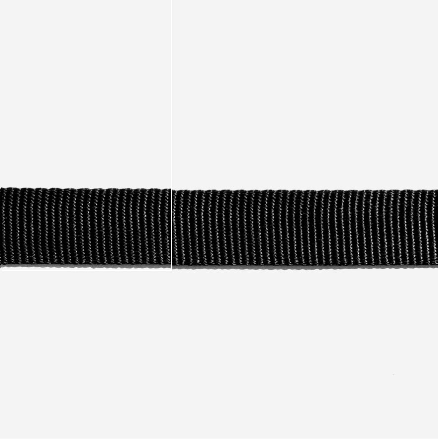 Collier pour Chien - Gotham