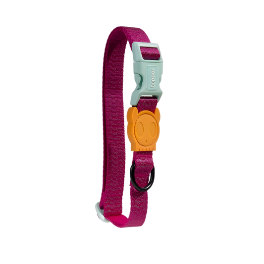 Collier pour Chien - Sidus