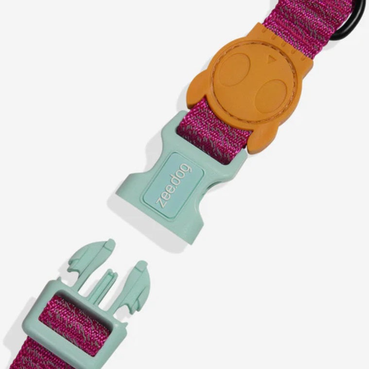 Collier pour Chien - Sidus