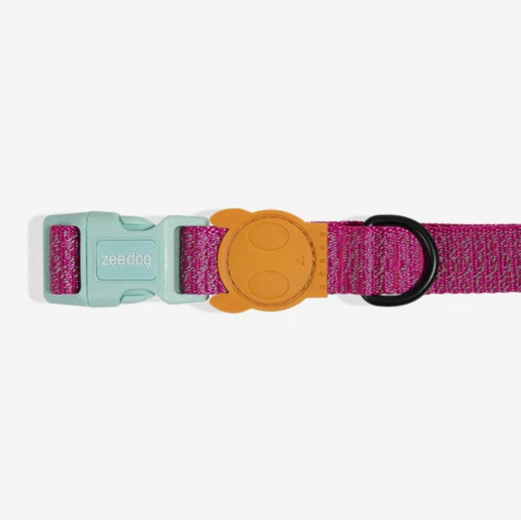 Collier pour Chien - Sidus