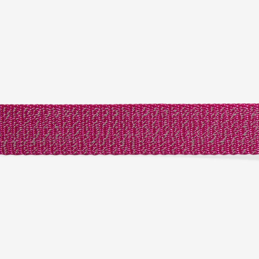 Collier pour Chien - Sidus