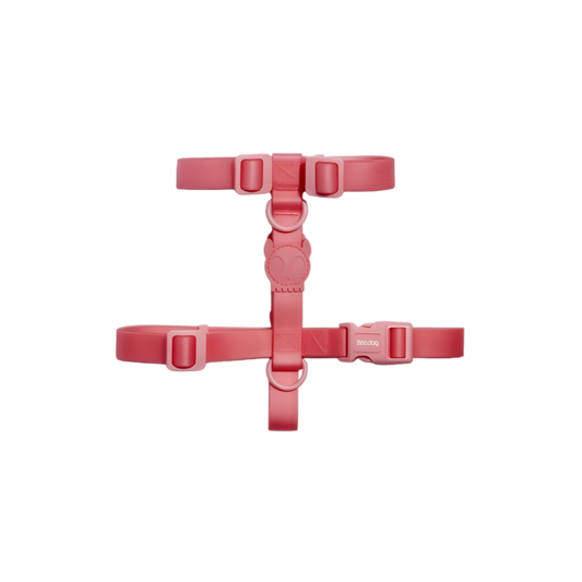 Harnais pour Chien ZEE DOG NeoPro™