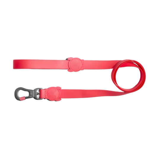 Laisse pour Chien ZEE DOG NeoPro™